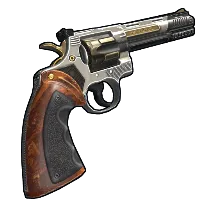 Skin's image