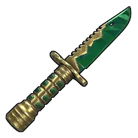 Skin's image