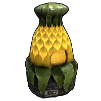 Skin's image