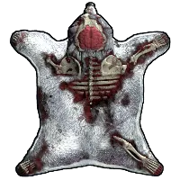 Skin's image