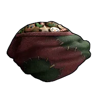 Skin's image