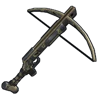 Skin's image