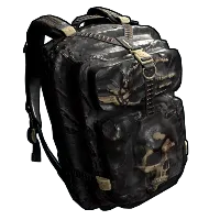 Skin's image
