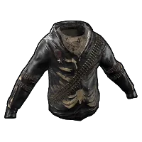 Skin's image