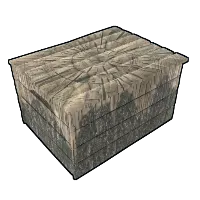Skin's image