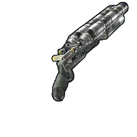 Skin's image