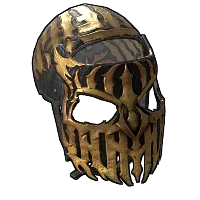 Skin's image