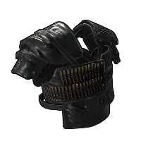 Skin's image