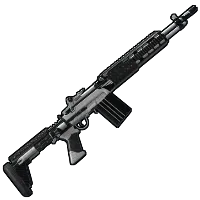 Skin's image