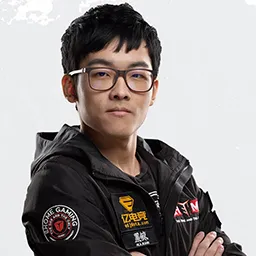 Skin's image