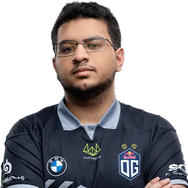 Skin's image