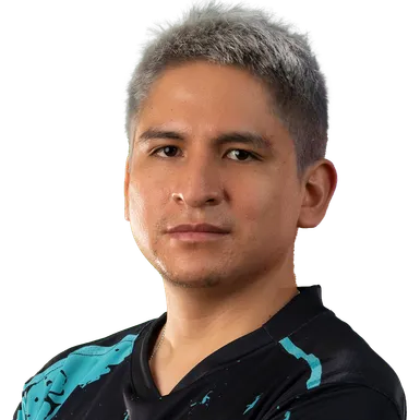 Skin's image