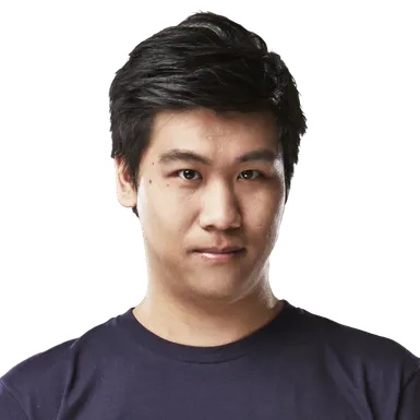Skin's image