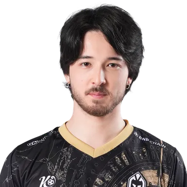 Skin's image