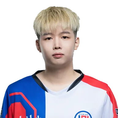 Skin's image