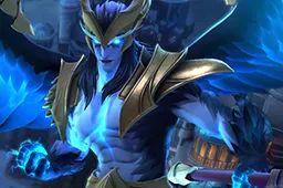 Skin's image