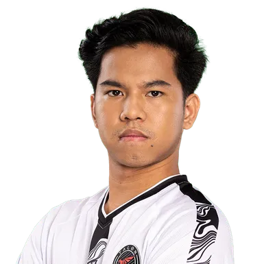 Skin's image