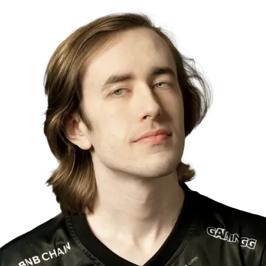 Skin's image