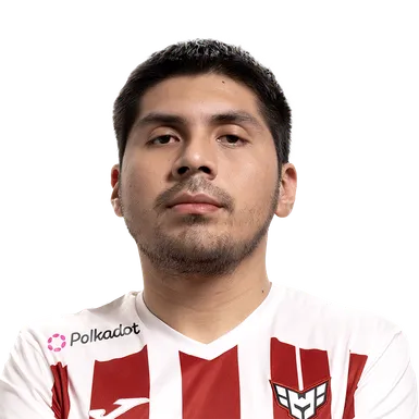 Skin's image