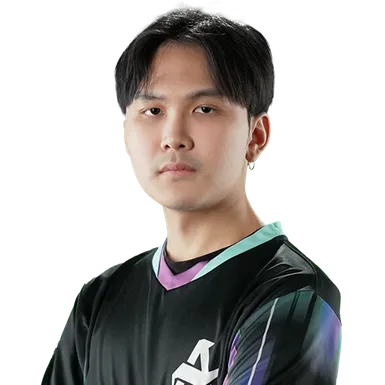 Skin's image