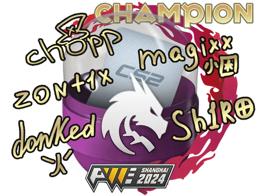 Skin's image