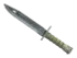 Skin's image