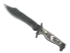 Skin's image