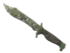 Skin's image