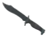 Skin's image