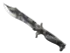 Skin's image