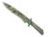 Skin's image