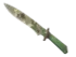 Skin's image