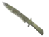 Skin's image