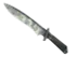Skin's image