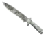 Skin's image