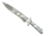 Skin's image