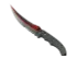 Skin's image