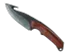 Skin's image