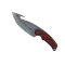 Skin's image