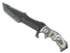 Skin's image