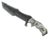 Skin's image