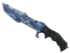 Skin's image