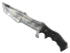 Skin's image