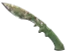 Skin's image