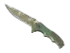 Skin's image