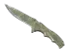 Skin's image