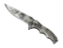 Skin's image
