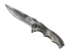 Skin's image