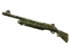 Skin's image