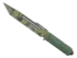 Skin's image